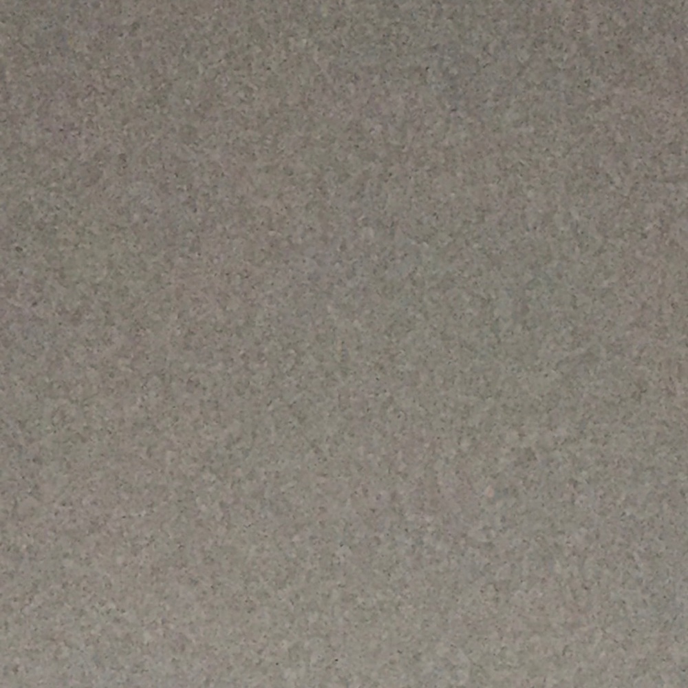 Meet your Posher, Bella